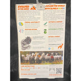 Thermal Legging's Charcoal