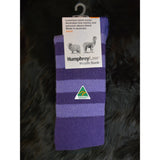 Humphrey Law Stripe Sock Violet