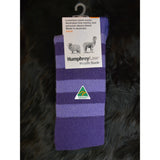 Humphrey Law Stripe Sock Violet