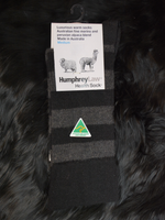 Humphrey Law Stripe Sock Black